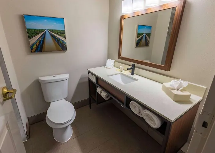 Wingate By Wyndham Airport Hotel 3*
